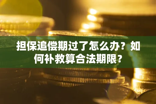 武汉担保追偿期过了怎么办？如何补救算合法期限？