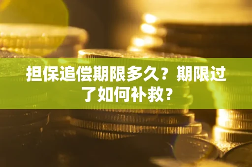 武汉担保追偿期限多久？期限过了如何补救？