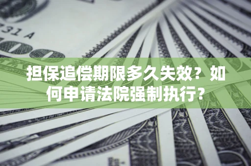 武汉担保追偿期限多久失效？如何申请法院强制执行？