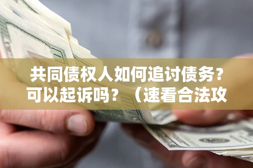 武汉共同债权人如何追讨债务？可以起诉吗？（速看合法攻略）
