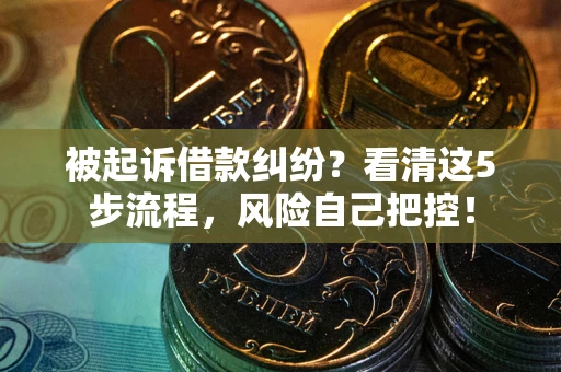 武汉被起诉借款纠纷？看清这5步流程，风险自己把控！