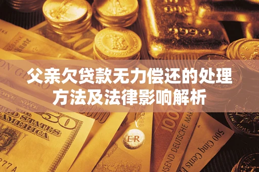 武汉父亲欠贷款无力偿还的处理方法及法律影响解析